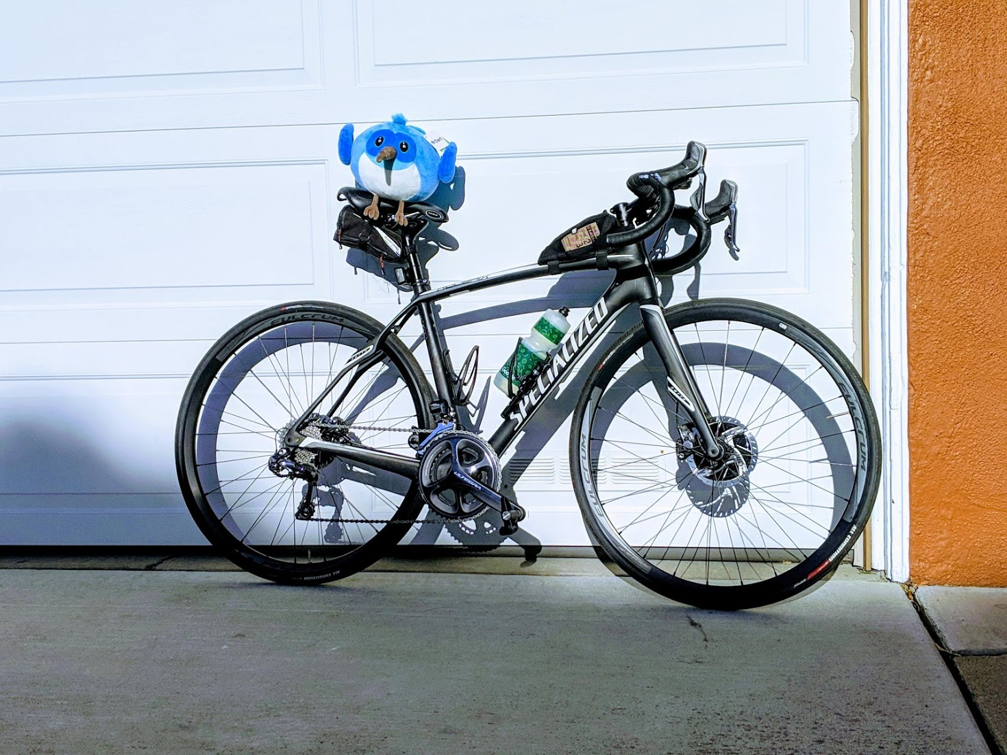 Like many members of the Dart and Flutter teams, Dash loves cycling. However, for obvious reasons, Dash has a bit of trouble riding a bike.