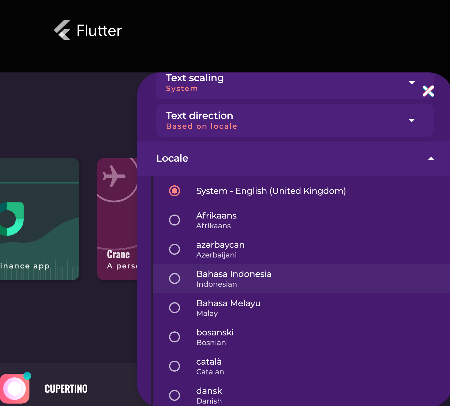Flutter Gallery settings panel with the locale options expanded