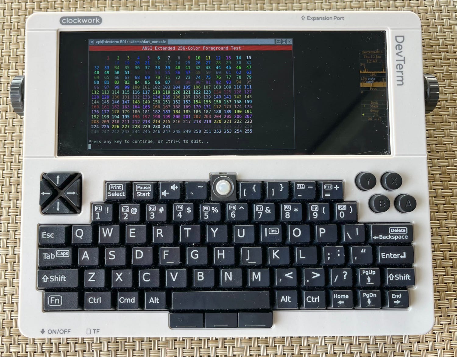 The ClockworkPi DevTerm R-01, an experimental RISC-V computer, running a Dart console app.